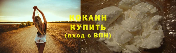 СК Заводоуковск