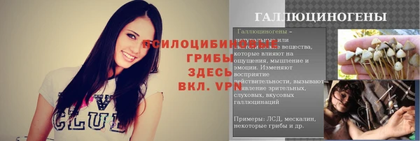 гидра Заволжск