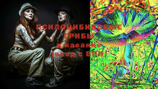 гидра Заволжск