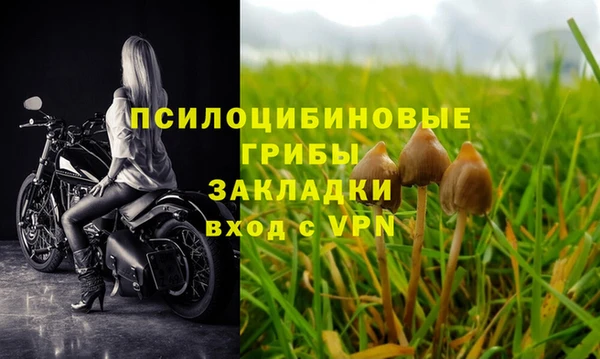 гидра Заволжск