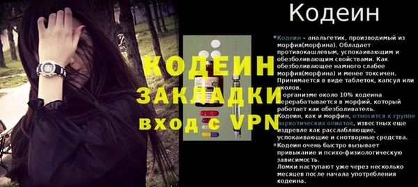 СК Заводоуковск