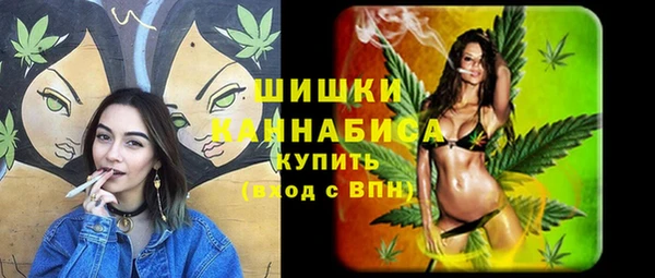 СК Заводоуковск