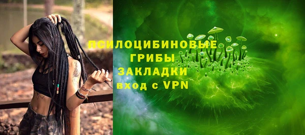 гидра Заволжск