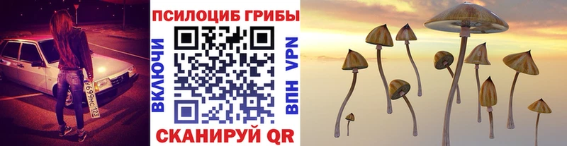 Купить  Королёв  Галлюциногенные грибы Magic Shrooms 