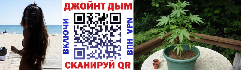 Купить закладки  Королёв  Канабис конопля 